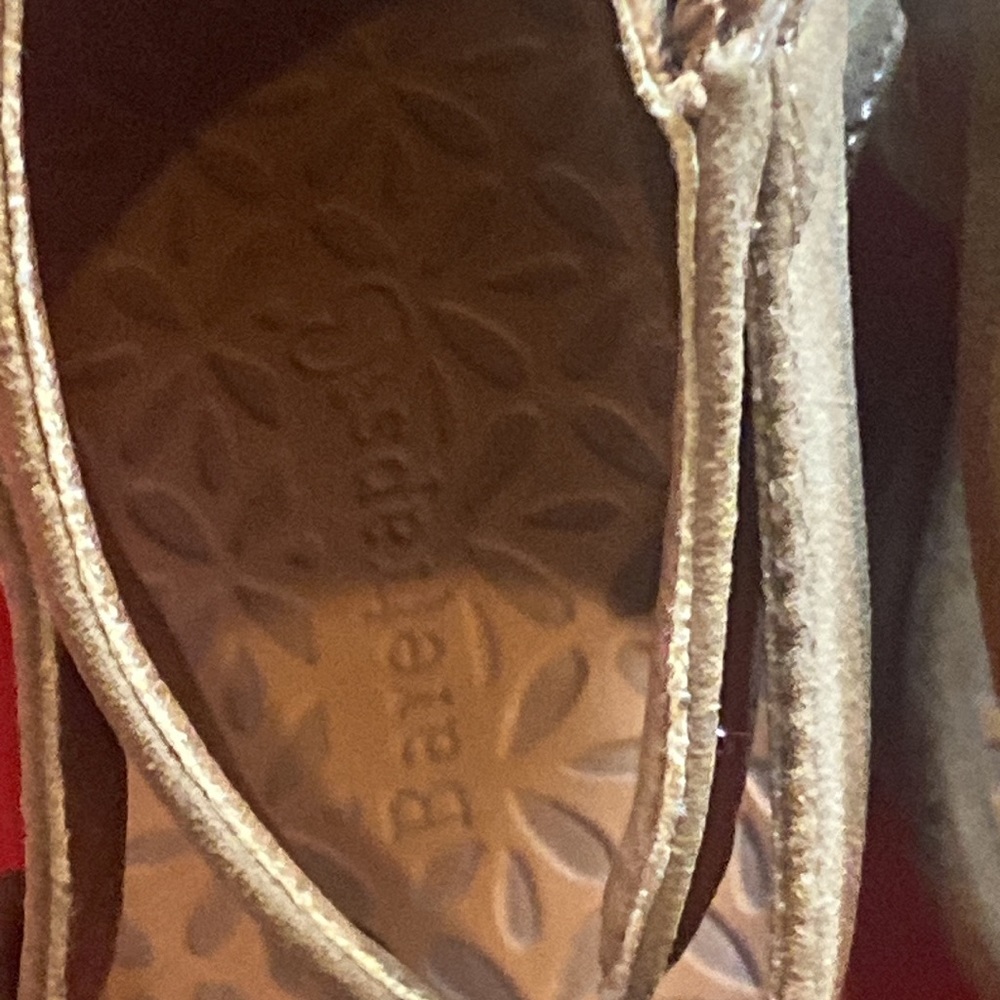 Bare Traps - image 3